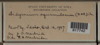 Image Associated With the Occurence